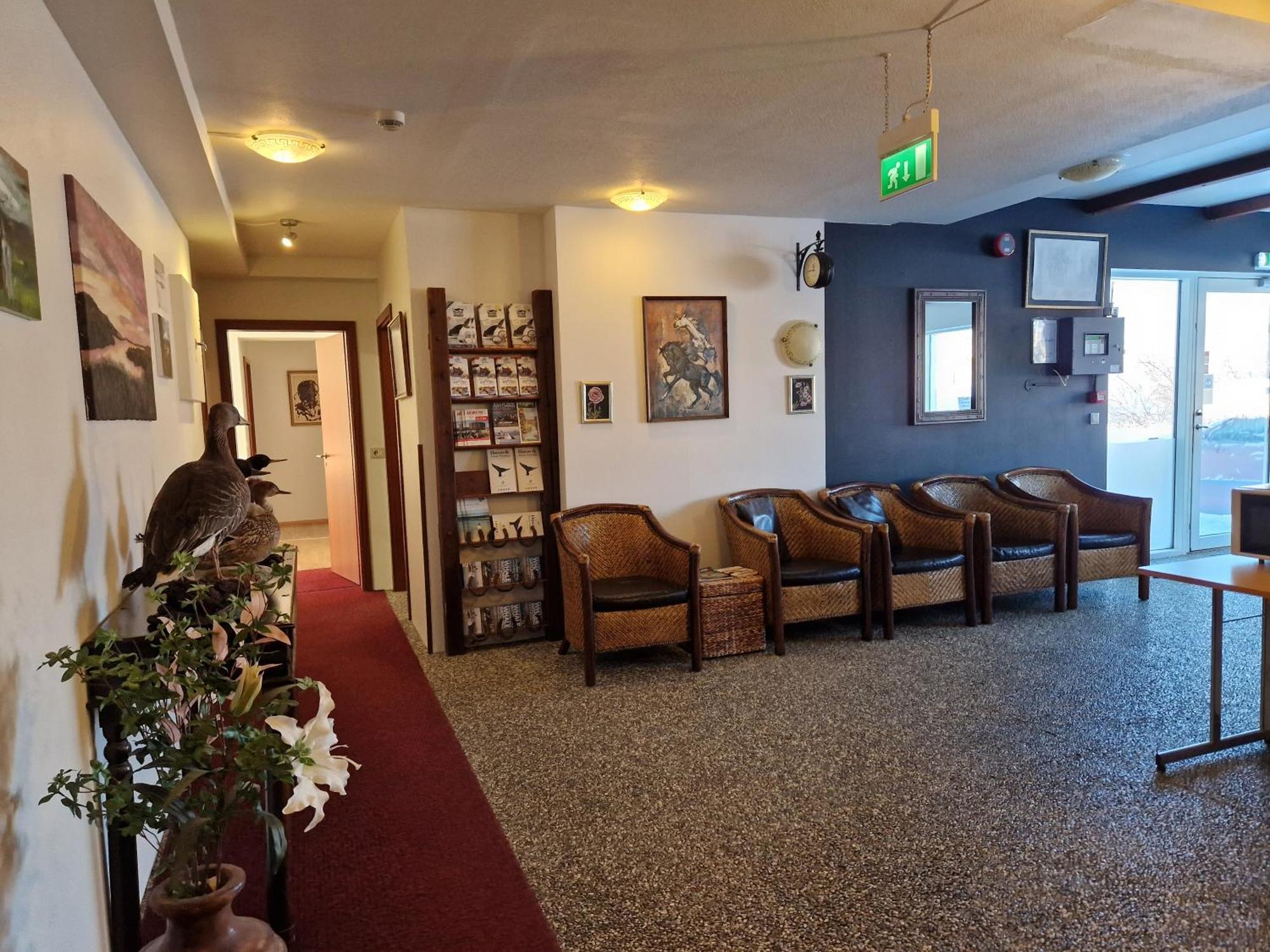 Gauksmyri Guesthouse Lodge Hvammstangi Εξωτερικό φωτογραφία